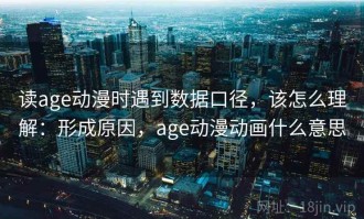 读age动漫时遇到数据口径，该怎么理解：形成原因，age动漫动画什么意思
