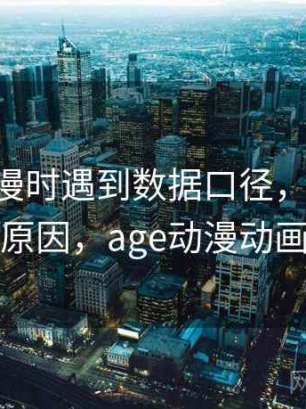 读age动漫时遇到数据口径，该怎么理解：形成原因，age动漫动画什么意思