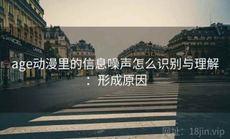 age动漫里的信息噪声怎么识别与理解：形成原因