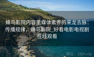 蜂鸟影院内容里媒体素养的来龙去脉：传播规律，蜂鸟影院_好看电影电视剧在线观看