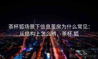 茶杯狐场景下信息茧房为什么常见：从结构上怎么辨，茶杯 狐