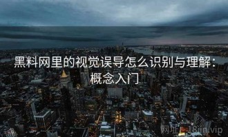 黑料网里的视觉误导怎么识别与理解：概念入门