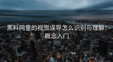 黑料网里的视觉误导怎么识别与理解：概念入门