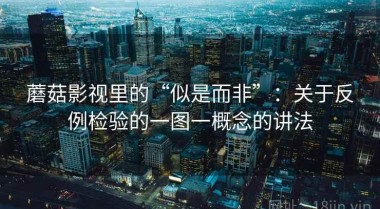 蘑菇影视里的“似是而非”：关于反例检验的一图一概念的讲法