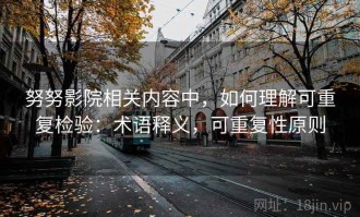 努努影院相关内容中，如何理解可重复检验：术语释义，可重复性原则