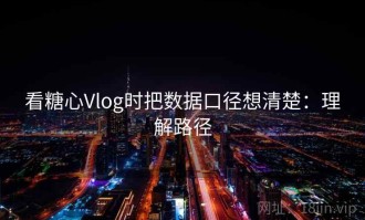 看糖心Vlog时把数据口径想清楚：理解路径