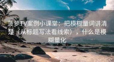菠萝TV案例小课堂：把模糊量词讲清楚（从标题写法看线索），什么是模糊量化