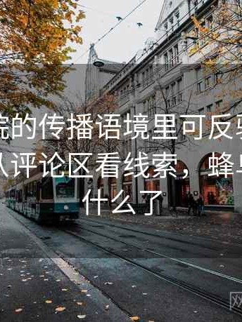 蜂鸟影院的传播语境里可反驳性如何形成：从评论区看线索，蜂鸟影院变什么了