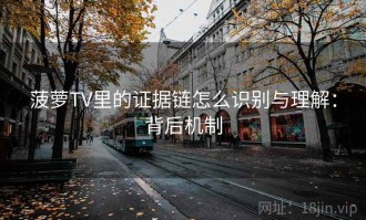 菠萝TV里的证据链怎么识别与理解：背后机制