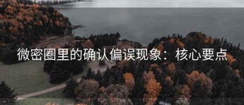 微密圈里的确认偏误现象：核心要点