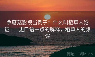 拿蘑菇影视当例子：什么叫稻草人论证——更口语一点的解释，稻草人的谬误