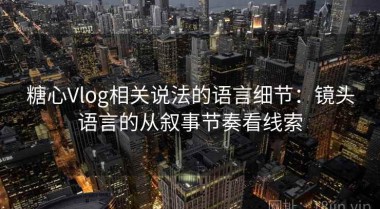 糖心Vlog相关说法的语言细节：镜头语言的从叙事节奏看线索