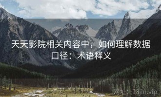 天天影院相关内容中，如何理解数据口径：术语释义