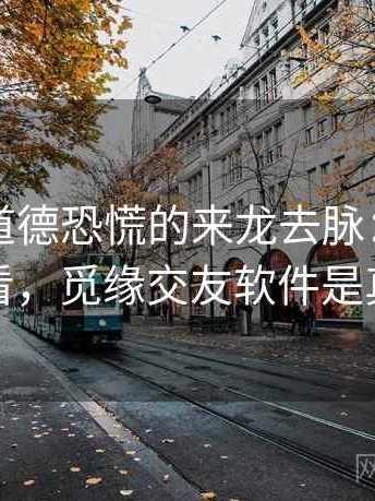 觅圈里道德恐慌的来龙去脉：用例子拆开看，觅缘交友软件是真的吗