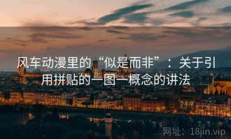 风车动漫里的“似是而非”：关于引用拼贴的一图一概念的讲法