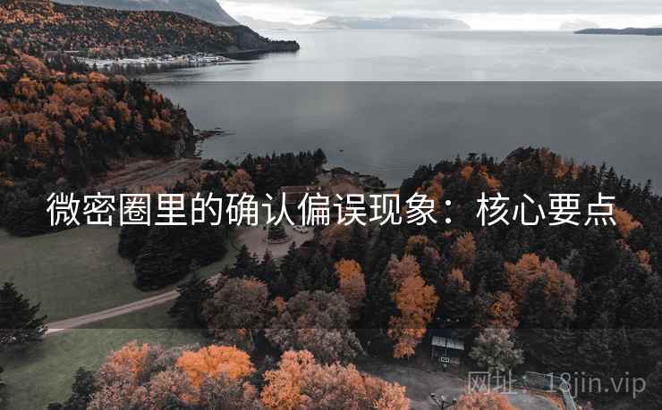 微密圈里的确认偏误现象：核心要点