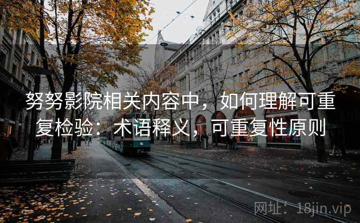 努努影院相关内容中，如何理解可重复检验：术语释义，可重复性原则