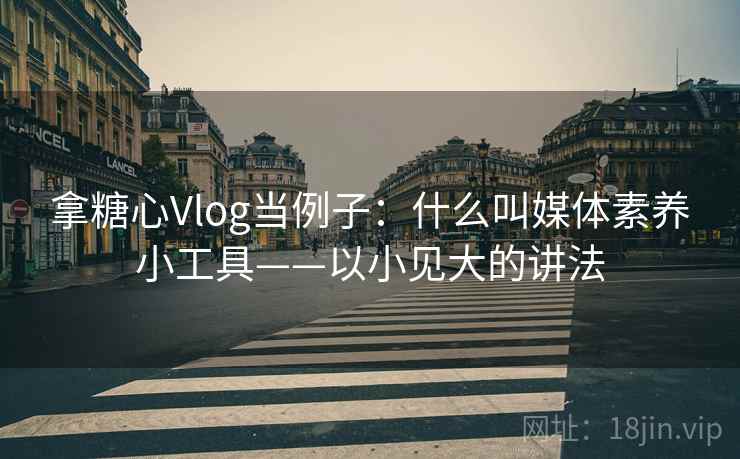 拿糖心Vlog当例子:什么叫媒体素养小工具——以小见大的讲法 拿糖心Vlog当例子:什么叫媒体素养小工具——以小见大的讲法