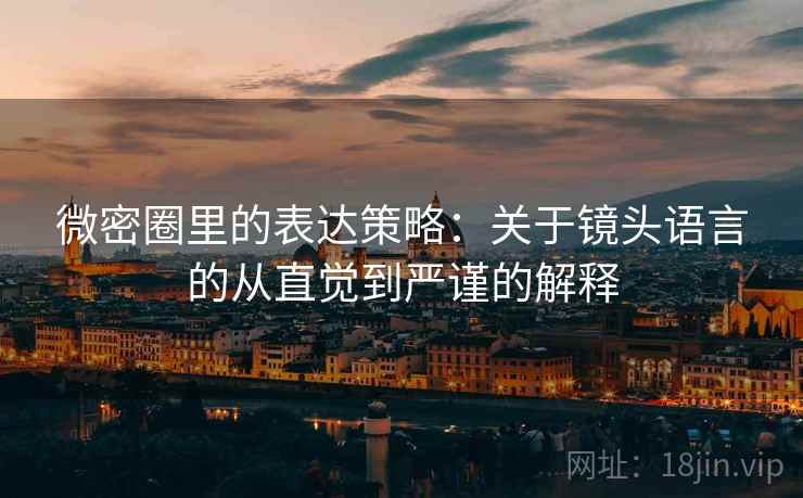 微密圈里的表达策略:关于镜头语言的从直觉到严谨的解释 微密圈里的表达策略:关于镜头语言的从直觉到严谨的解释