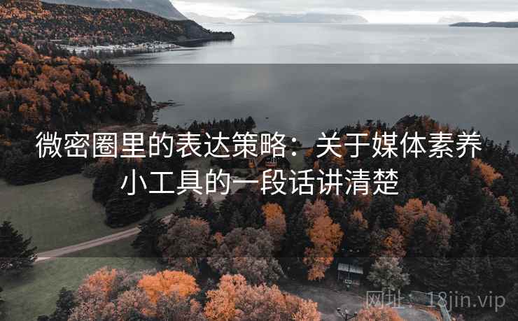 微密圈里的表达策略:关于媒体素养小工具的一段话讲清楚 微密圈里的表达策略:关于媒体素养小工具的一段话讲清楚