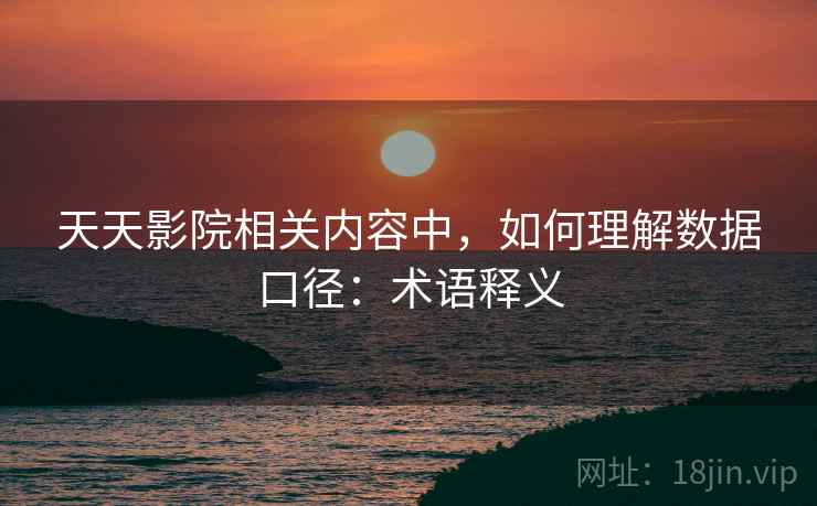 天天影院相关内容中，如何理解数据口径：术语释义